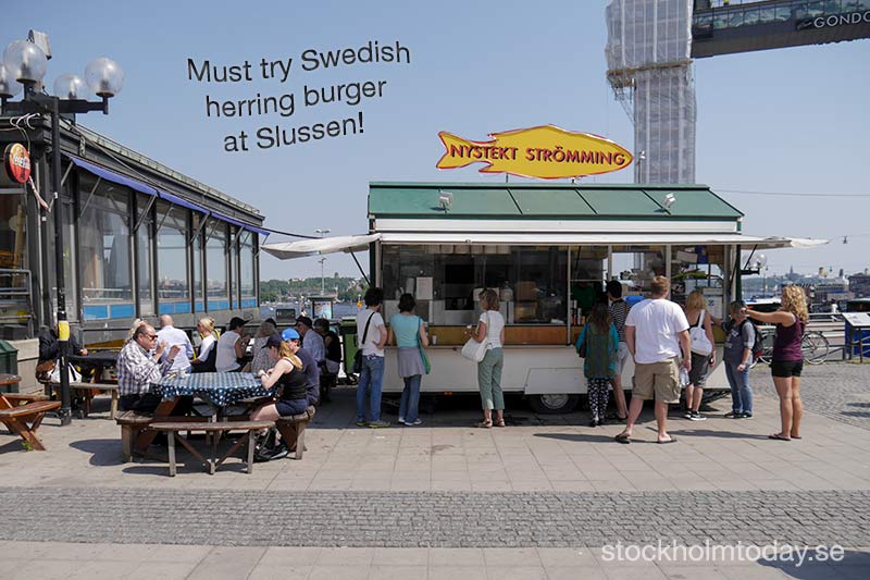 stockholm today herring