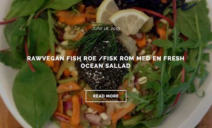 raw food festival stockholm