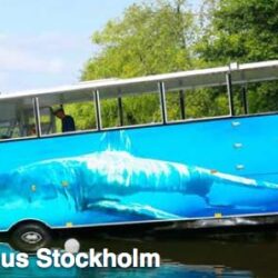 Stockholm bus in the water