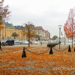 autumn stockholm today