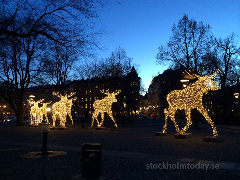 stockholm christmas elks light