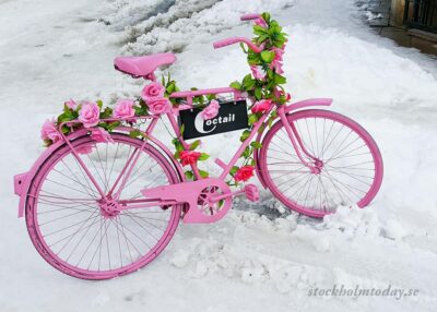 stockholm today pink bike sofo