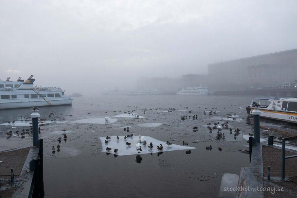 stockholmtoday fog
