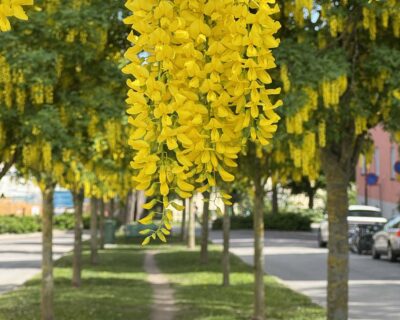 spring stockholm today