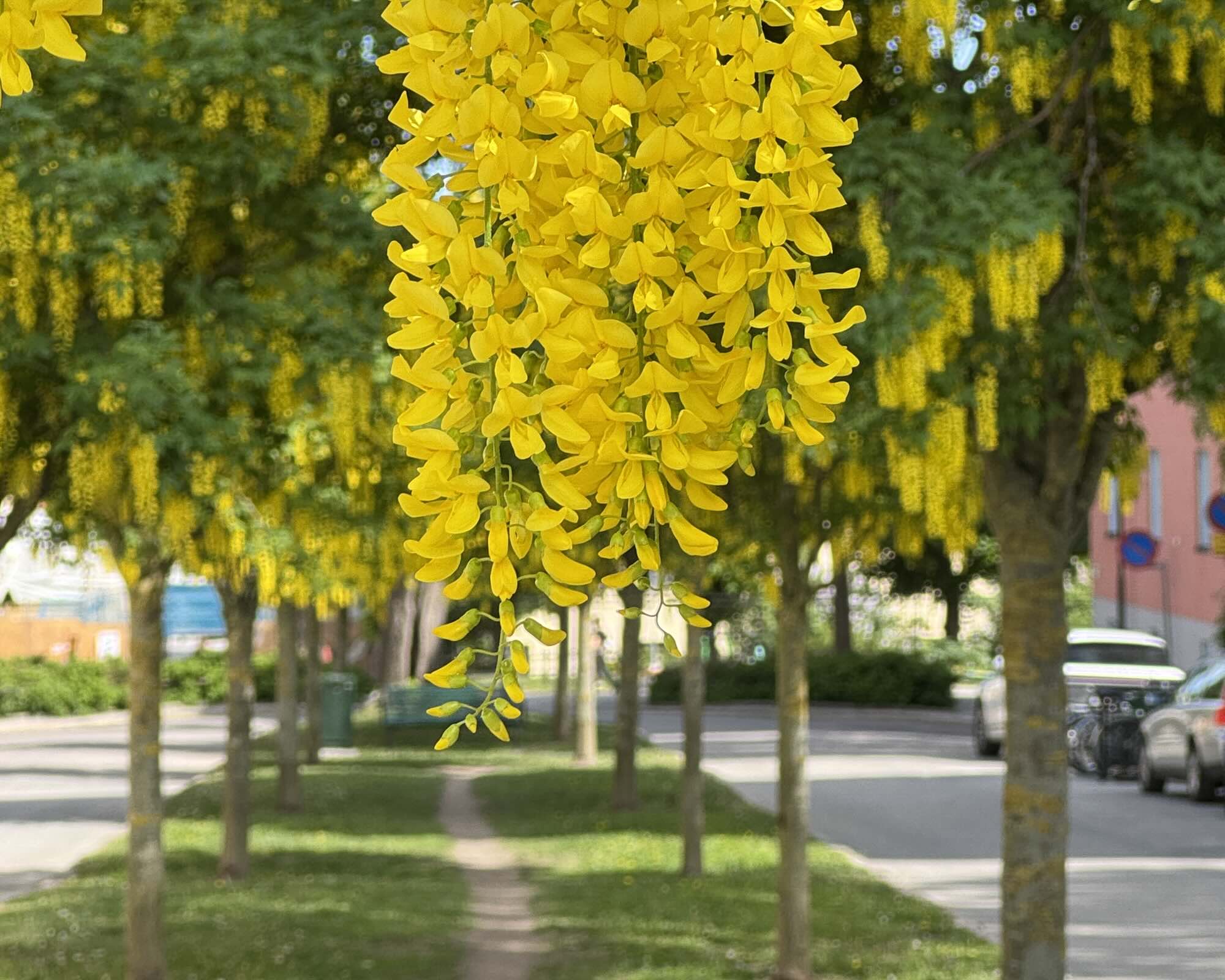 spring stockholm today